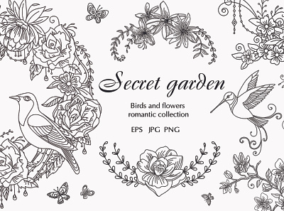 Secret garden birds and flowers set adobe illustrator background beautiful branding character cute design illustration