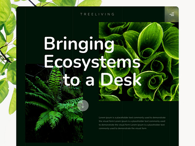 Treeliving - Bringing Ecosystems to a desk design figma graphic design ui ux webdesign