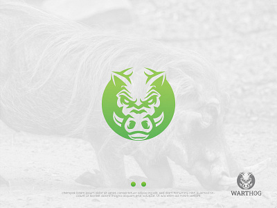WARTHOG LOGO abstract logo animal creative design logo logo mark logodesign luxury logo minimal minimal logo warthog