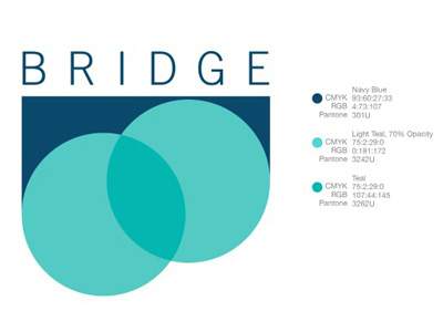 Bridgin' the Gap explore gender equality graphic design illustrator logo logo design pantone