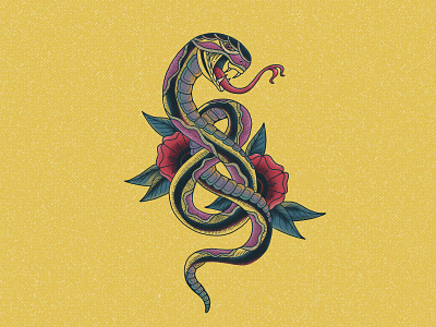 Snake illustration snake