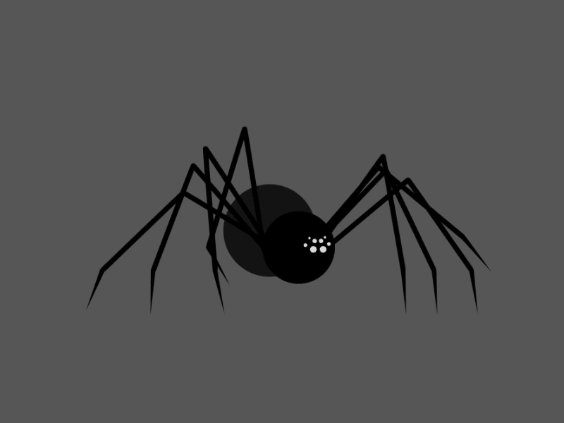 Spider Walk 2d aftereffects animation gif illustration spider vector