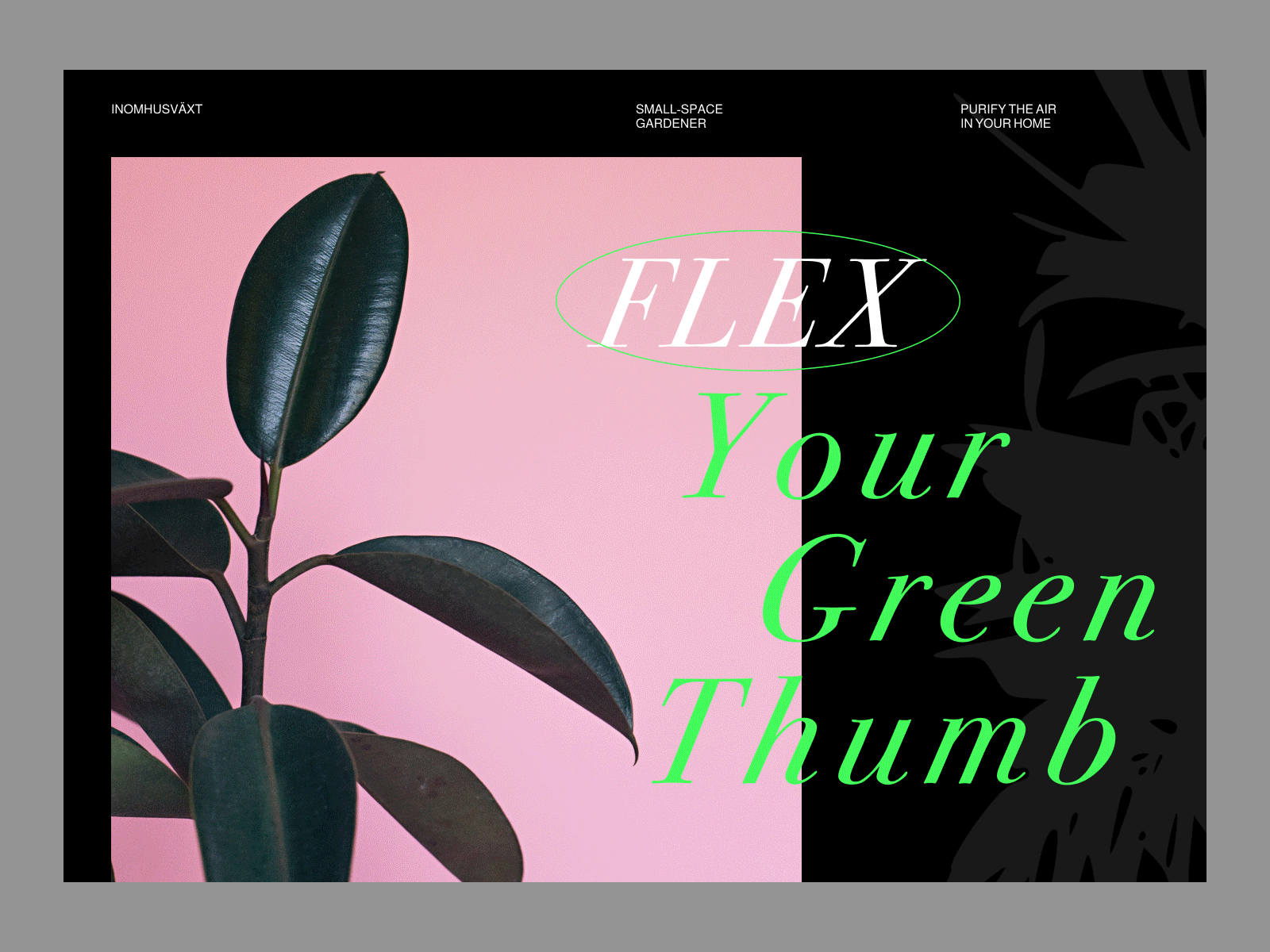 Inomhusväxt / Flex Your Green Thumb art direction design green indoor plants nature plants typeface typography ui ui design web web design website