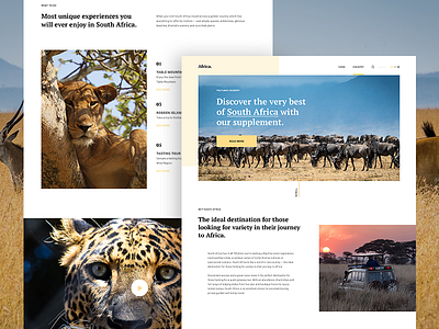 Africa Travel Guide - Country Page WIP africa country guide interface malaysia travel ui ux web website