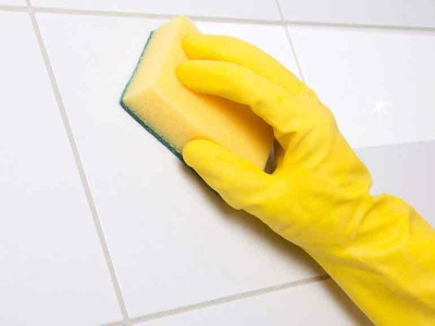 Get High Quality Services Of Mould Removal In Brisbane mould removal brisbane mould removal brisbane
