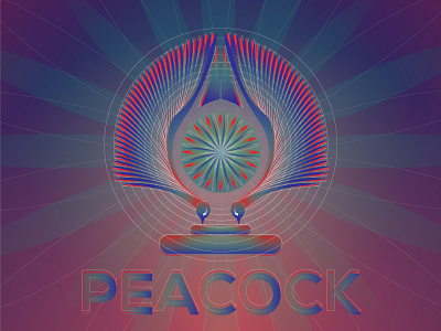 Gradient Peacock illustration