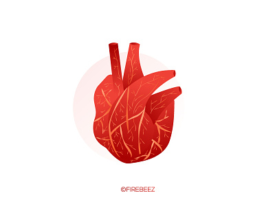 Heart Medical Illustration blackonewhitegk firebeez heart illustration illustrator medical