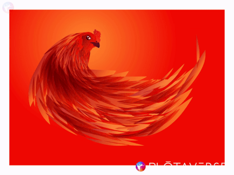 Fighter Rooster Illustration Animation animation blackonewhitegk firebeez loop rooster