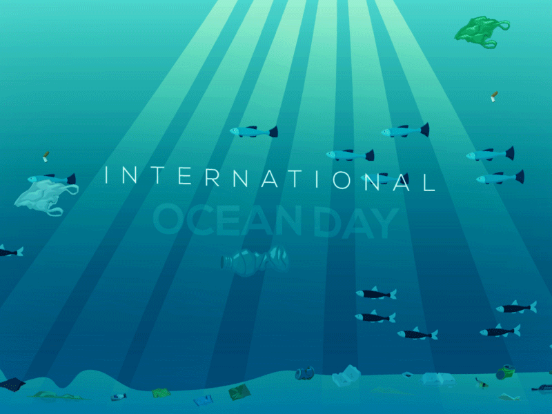 International Ocean Day Concept and animation aftereffects art blackonewhitegk concept design explainervideo firebeez gradient illustration illustrator internationaloceanday motiongraphics ocean oceanday plasticfreeocean plasticinocean wigglestudios