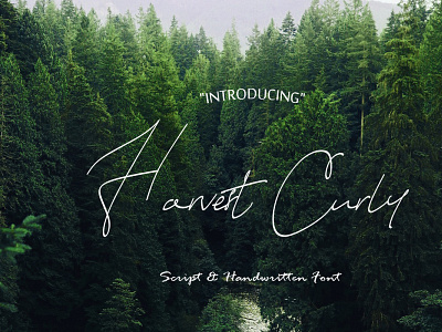 harvest curly calligraphy curly font font fonts graphicdesign handdrawn font handwritten harvest curly font illustration quote scriptfont typo typography