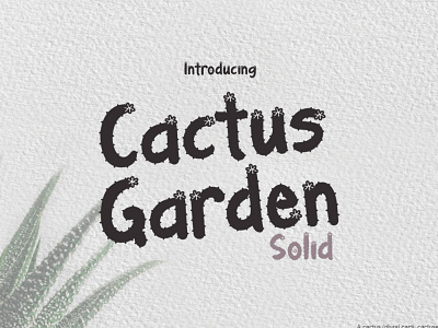 Cactus Garden Solid beautiful font branding cacti font cactus font cactus garden font calligraphy design designs display font font font design fonts graphic design illustration logo logo font mexico typography ui vector