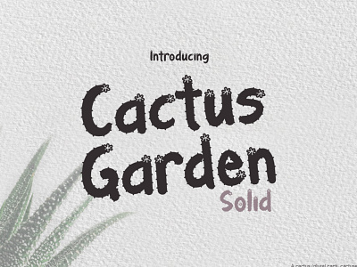 Cactus Garden Solid