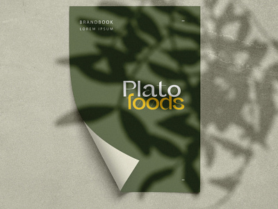 Plato Food | Identity, Packaging & Web-Design branding graphic design ui website