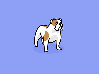 Pearl bulldog dog flat illustration