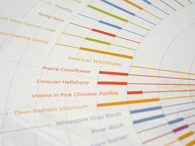 The High Line: A Park for All Seasons Detail data visualization dataviz infographic plants print