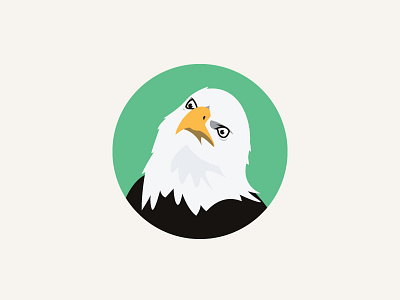 Confused Eagle bird eagle illustration