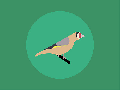 Carduelis Carduelis illustration