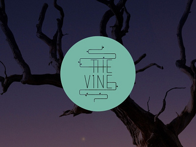 The Vine