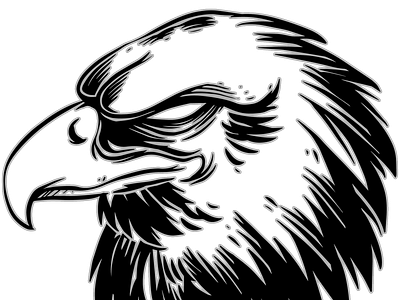 Eagle head black 3d animation app branding design graphic design illustration logo motion graphics predator ui ux vector