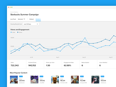 Simple Analytics Dashboard analytics b2b blue dashboard graph line metrics social tool ui ux web