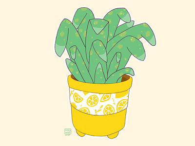 Plants 🌱