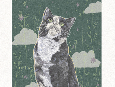 Custom Cat Illustration animal portraits cat illustration freelance illustrator illustration portrait procreate artist