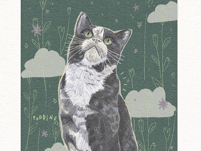Custom Cat Illustration