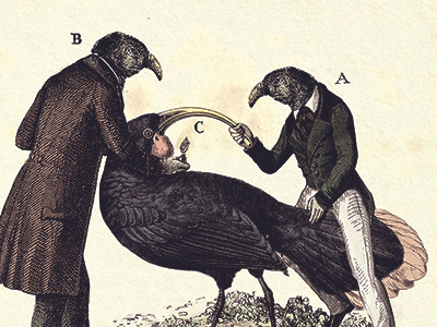 The ruthless beak benders (detail) digital engraving illustration