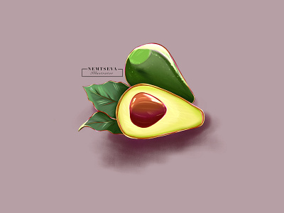 Avocado avocado food illustraion sketch