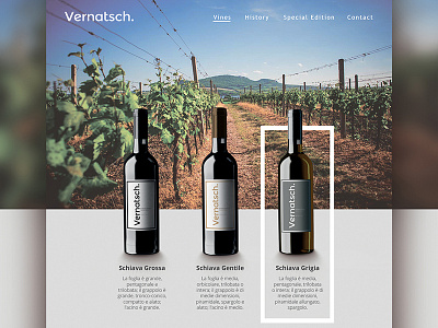 Wines branding digital user experience web design