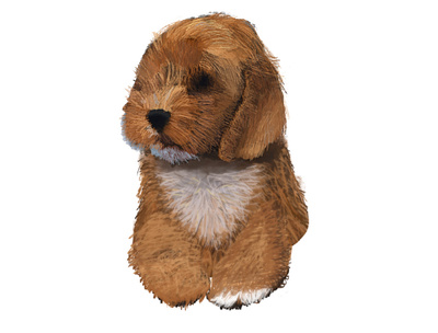 Rupert Bear digital painting apple pencil dog drawing fluffy ipad pro painting procreate puppy