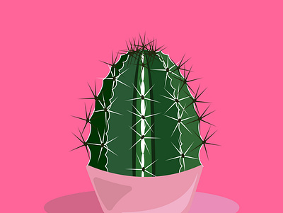 Cactus cacti