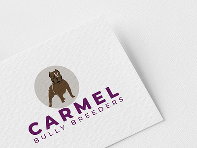 CARMEL BULLY Breeders app branding design icon illustration logo typography ui ux vector