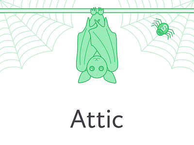 Attic bat illustration