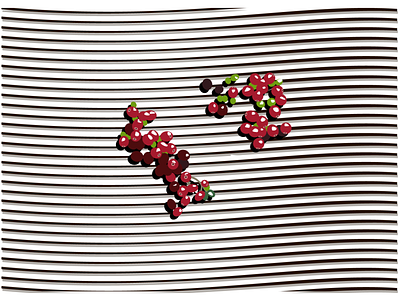 Coffee beans design graphic design illustration vector