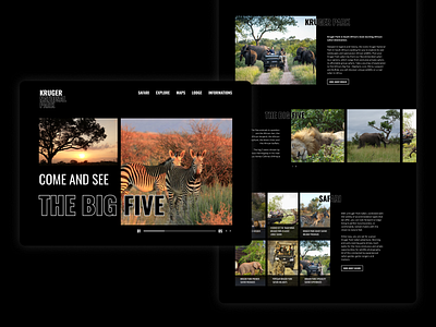 Kruger National Park design ui uidesign uidesigner ux