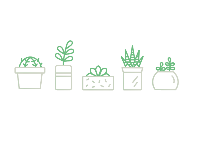 Succulent Plant Animation animation gif illustration life line plant pot succulent
