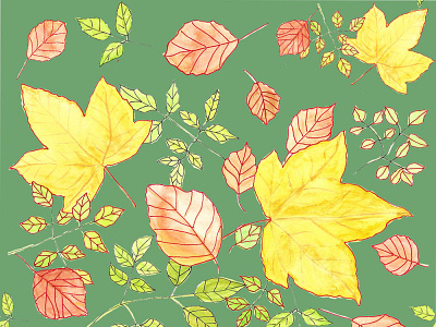 Autumn print design autumn leaves background hand drawn illustraion illustration mapleleaf pattern pattern design textile pattern watercolor