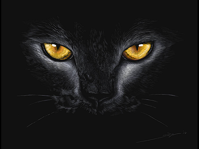 Salem - Digital Pencil Sketch animal black cat chiaroscuro eyes kitty linea sketch
