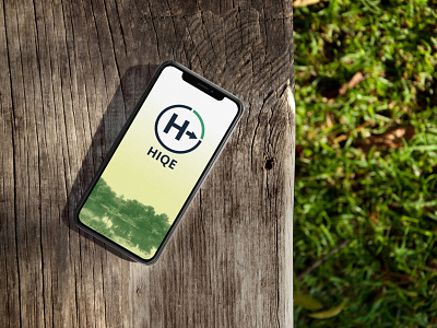 HIQE App Design (York U) branding product design visual design