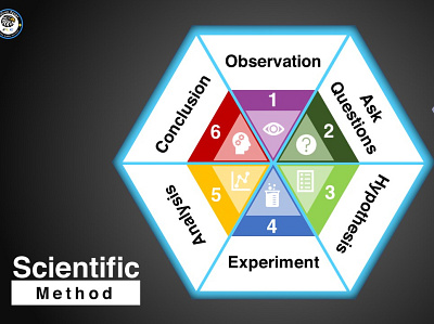 Scientific Method - 6 steps infographic data visualization design graphic design graphicdesign illustration infographic design