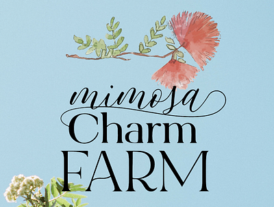 Mimosa Watercolor Logo Design cursive cursive font cursive logo feminine flower art flower illustration flower line art flower logo logo logo design branding logodesign logodesigner typography vintage design vintage font vintage logo watercolor watercolor illustration