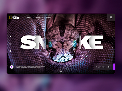 "SNAKE" UI Shot, Nat Geo Wild. brand uiux dailyuichallenge design landing page landing page design ui uidesign uiux userinterfacedesign webdesign