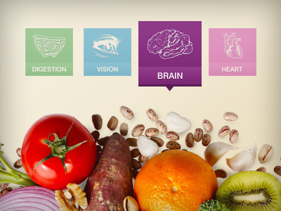 Subnav Elements blue brain digestion fruits green heart navigation pink purple subnav vegetables vision