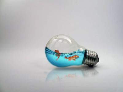 Fish Bulb blue bulb design fish illustration photoshop water