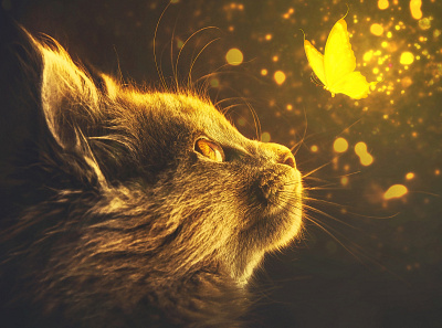 glowing cat and butterfly butterfly cat colors design illustration photoshop