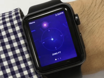 Apple Watch App - Car Control