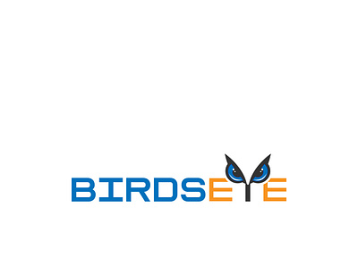 bridseye logo