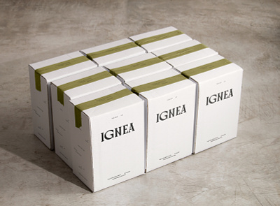 IGNEA Box argentina asis biodynamic box branding concrete identity natural organic packaging shipping wine