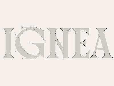IGNEA logotype nodes argentina asis brand branding identity logo logotype nodes type typography wine word mark